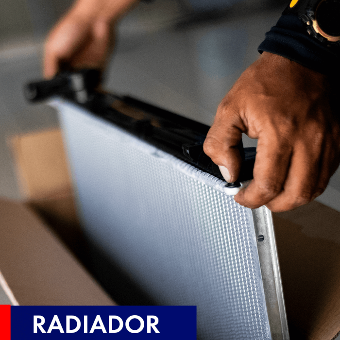 RADAUTO radiador